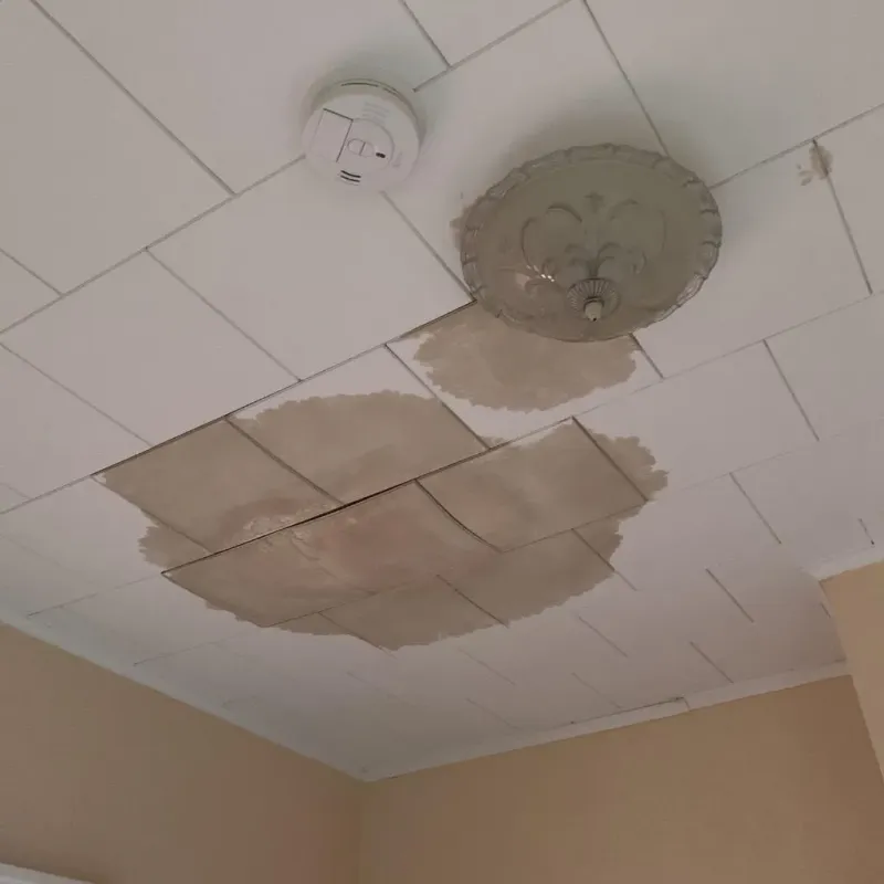 Ceiling Water Damage Repair in Kings Mountain, NC