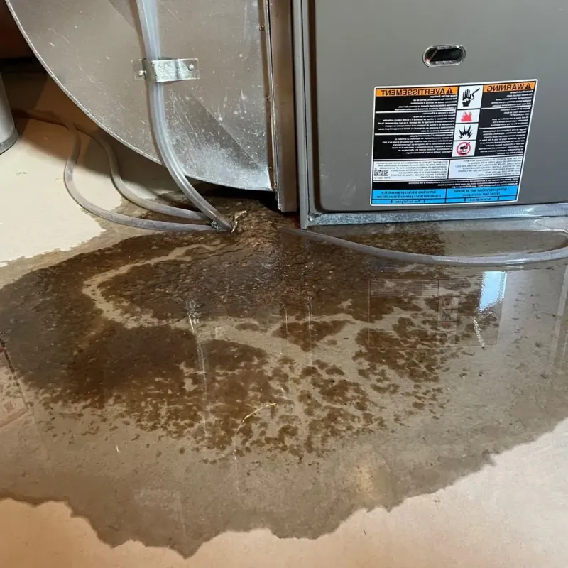 Pipe Burst and Leak Restoration in Kings Mountain, NC